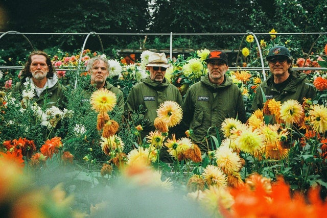 Super Furry Animals in Manchester promotional photo for Priority from O2 presale tickets offer