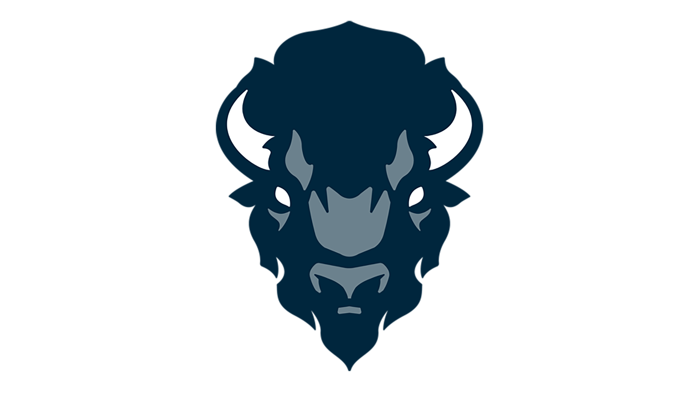 Howard University Bison Football