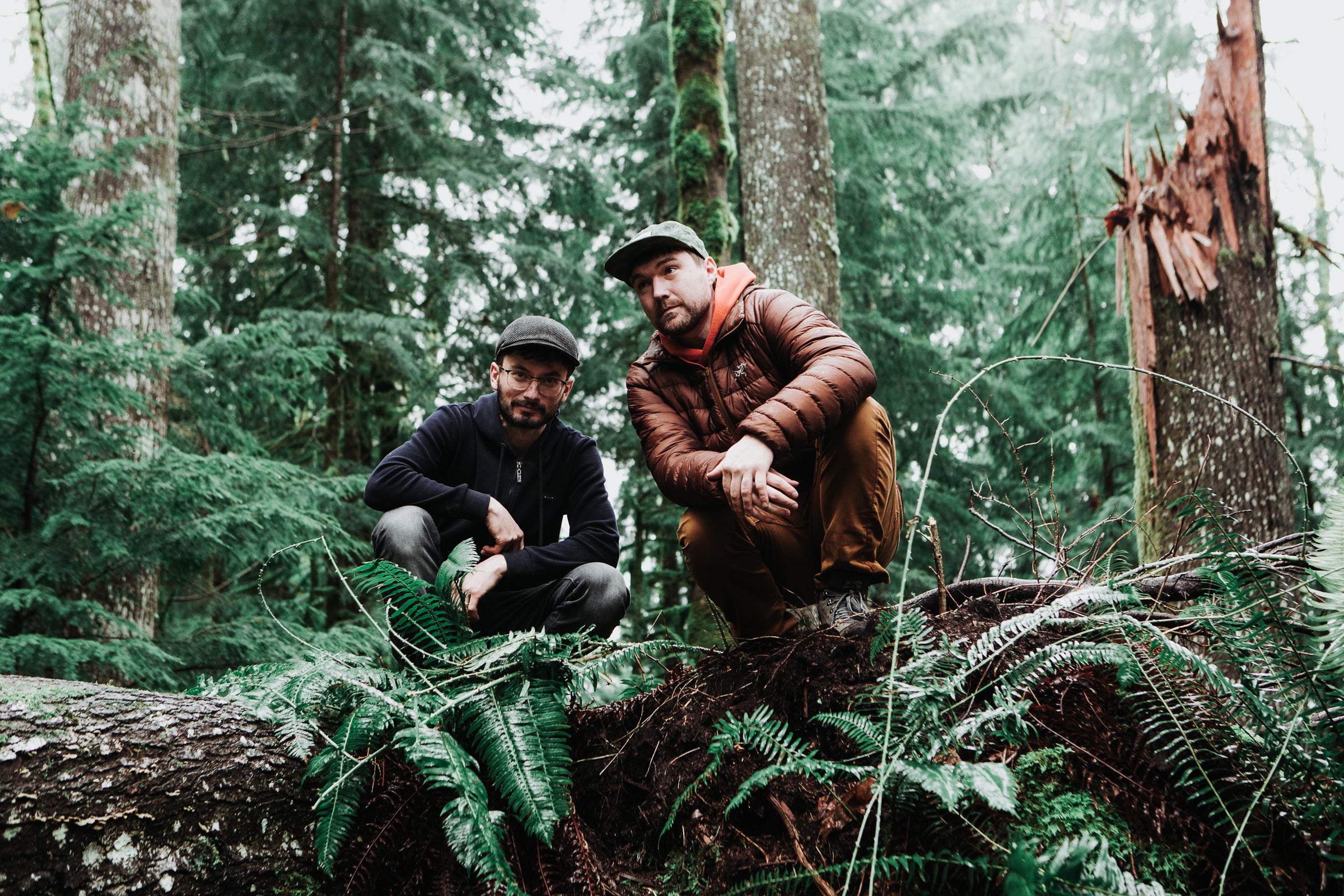 Emancipator
