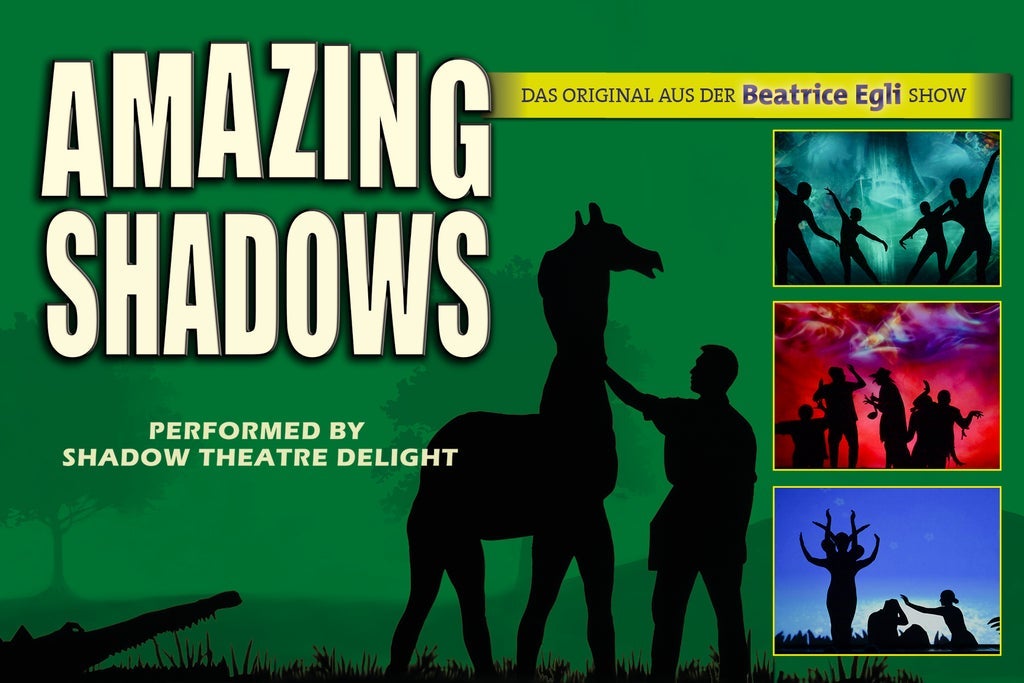 AMAZING SHADOWS show poster