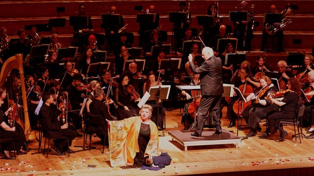 The Auckland Opera Studio 2026 Opera Gala in Great Hall, Auckland Town Hall 28/06/2026
