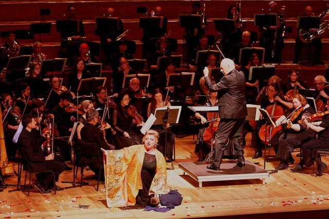 Presales to auckland opera studio: members use these when buying pre-sale tickets
