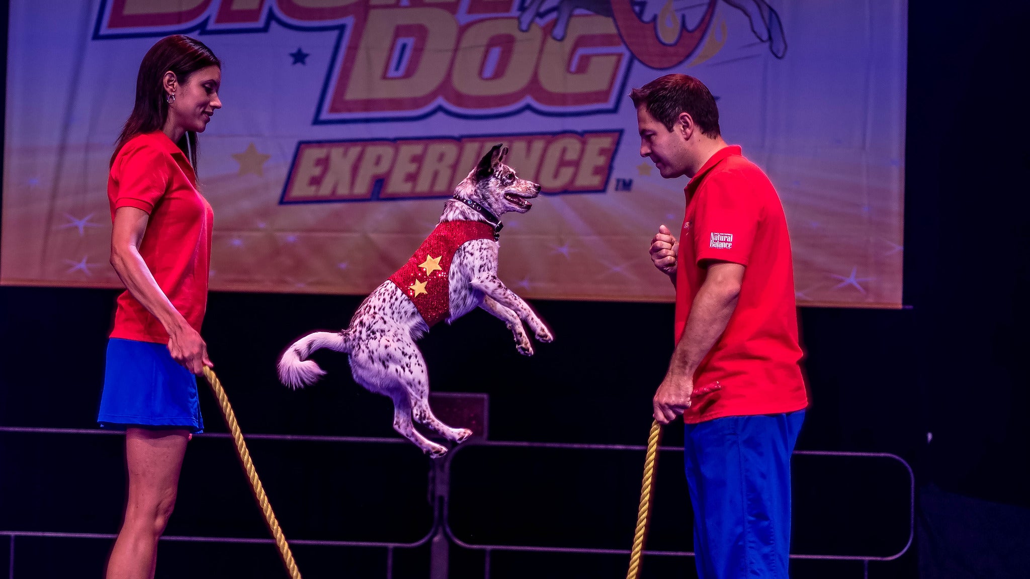 Stunt Dogs presale passcode for genuine tickets in Indianapolis