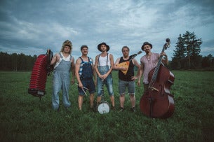 Steve 'N' Seagulls