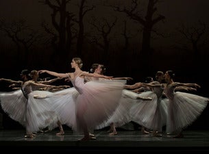 Image of South Mississippi Ballet Theatre presents Giselle
