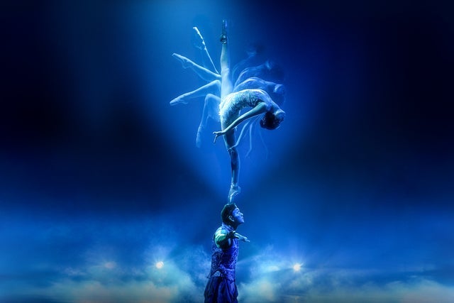 Presales to awakening: members use these when buying pre-sale tickets