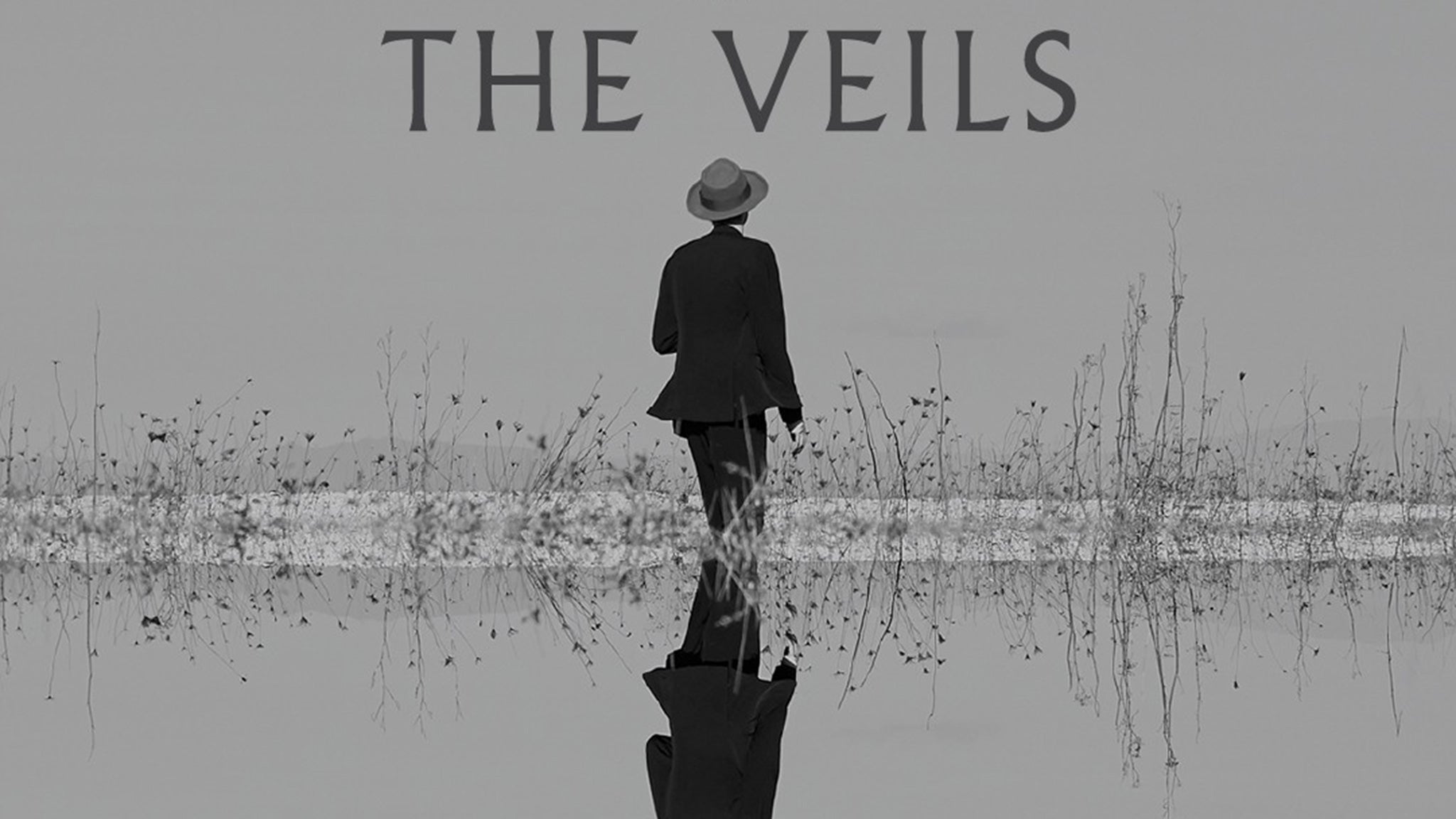 The Veils