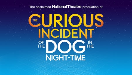 The Curious Incident of the Dog In the Night-Time (Chicago)