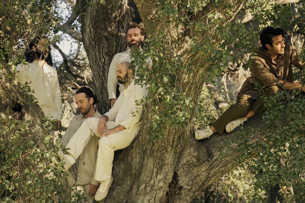 Young the Giant concert image
