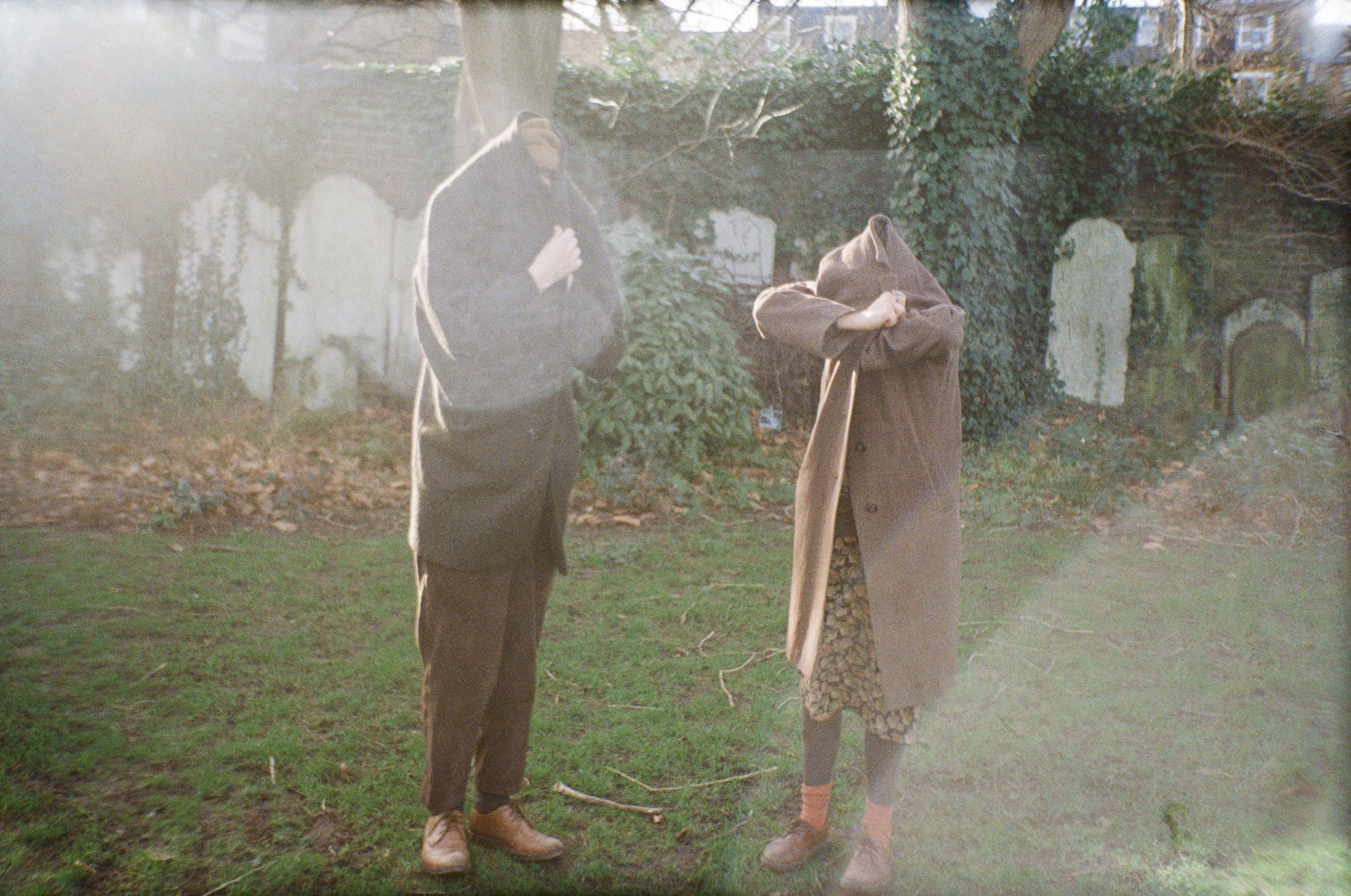 Milkweed – 2026-04-28