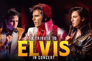 A Tribute to Elvis In Concert