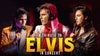 A Tribute to Elvis In Concert