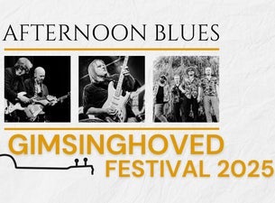 Gimsinghoved Festival 2025 | Afternoon Blues