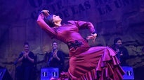 Festival Cante De Las Minas