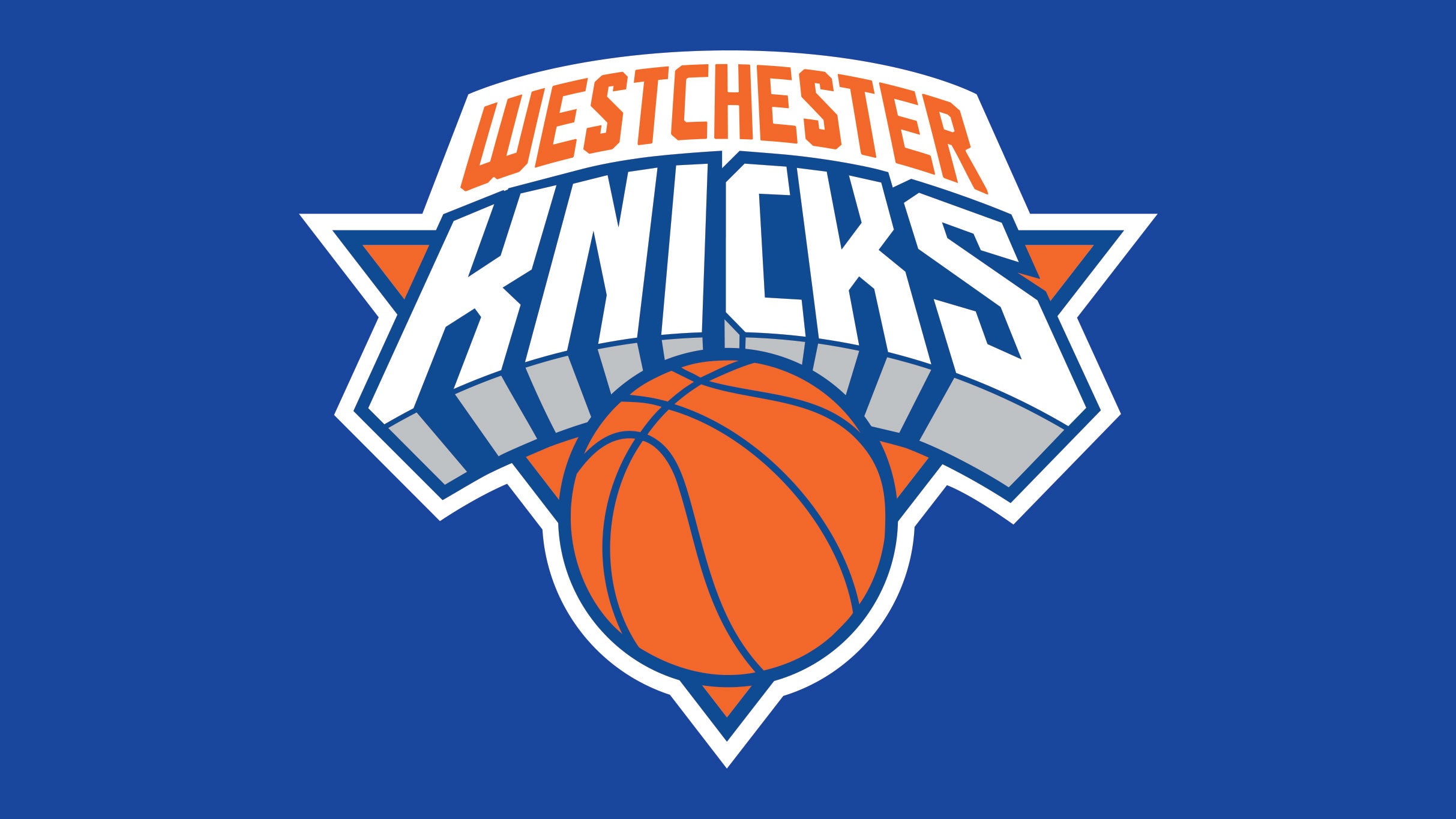 Westchester Knicks vs. Capital City Go-Go at Westchester County Center – White Plains, NY