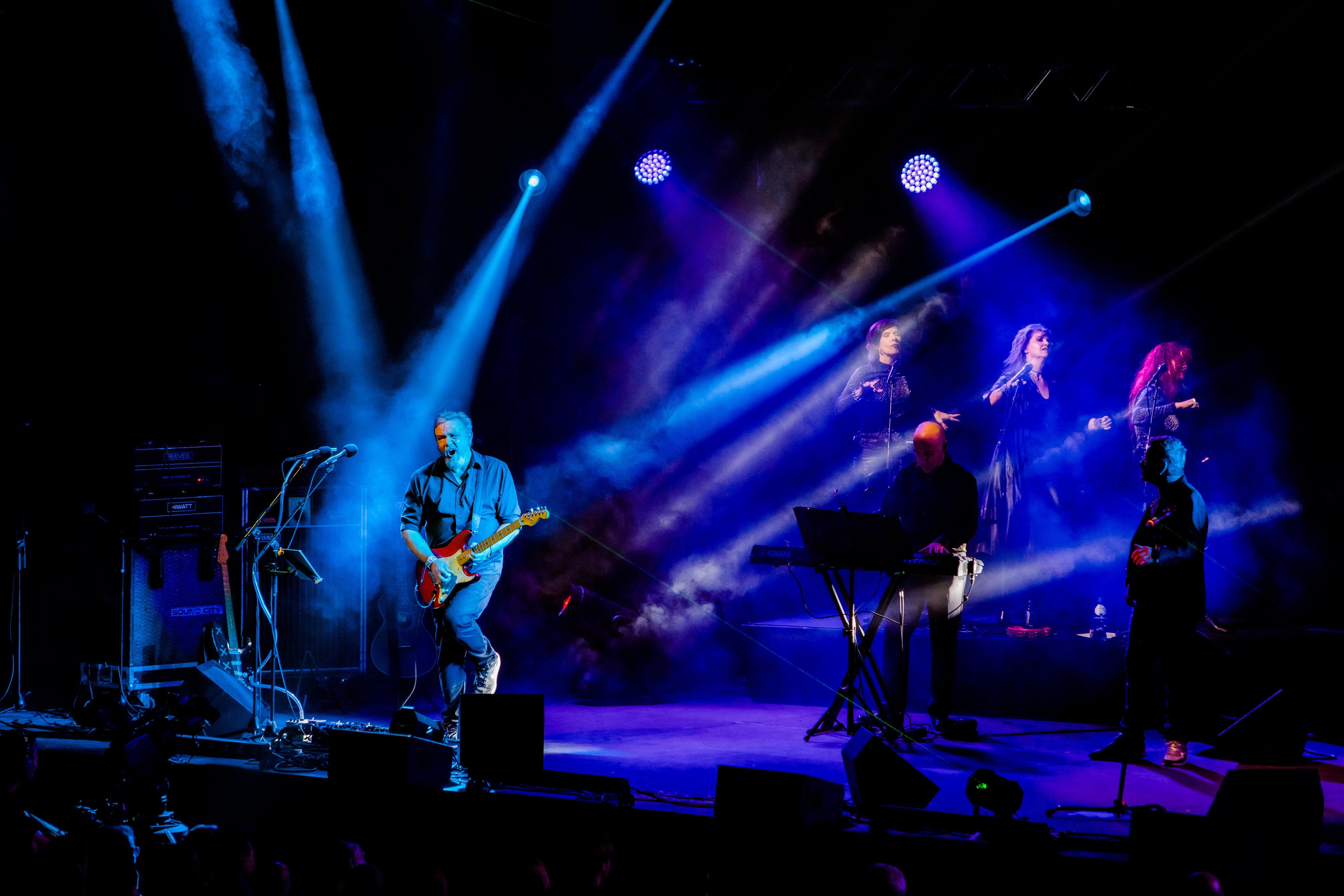 Zuiderpark Live: Pink Project