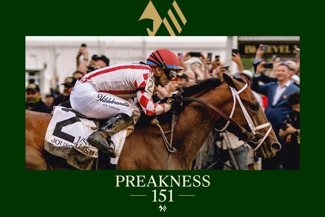 Presales to preakness 151 at laurel park: members use these when buying pre-sale tickets