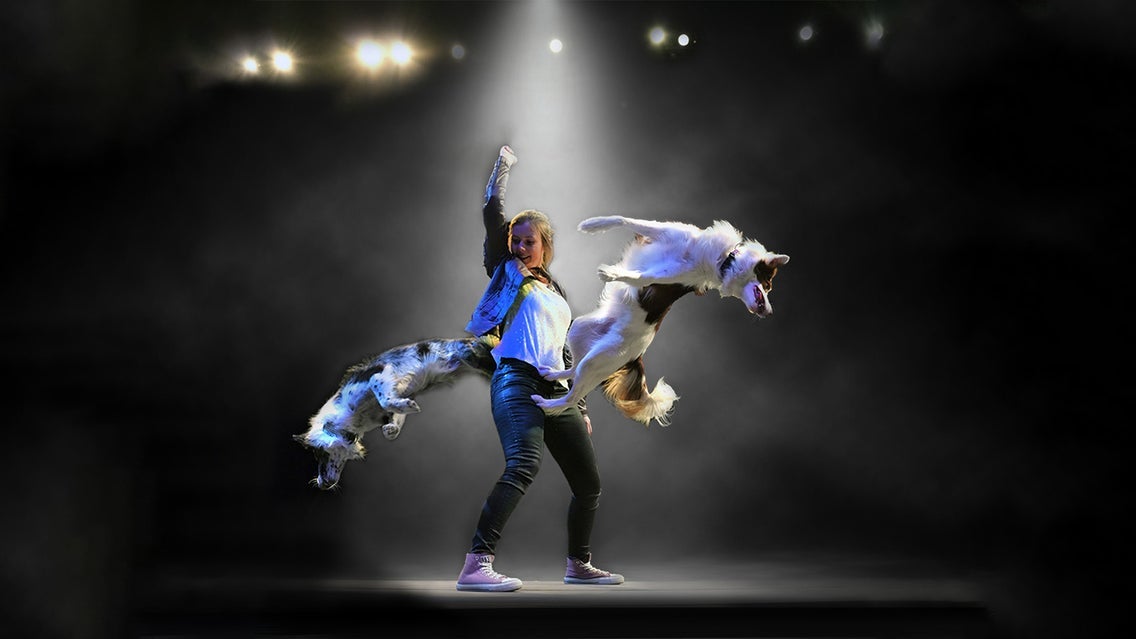 Photo of Mutts Gone Nuts - Unleashed!