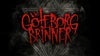 GÖTEBORG BRINNER