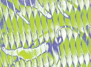 Midtsommerfest: MALUM + DJ Prins Thomas