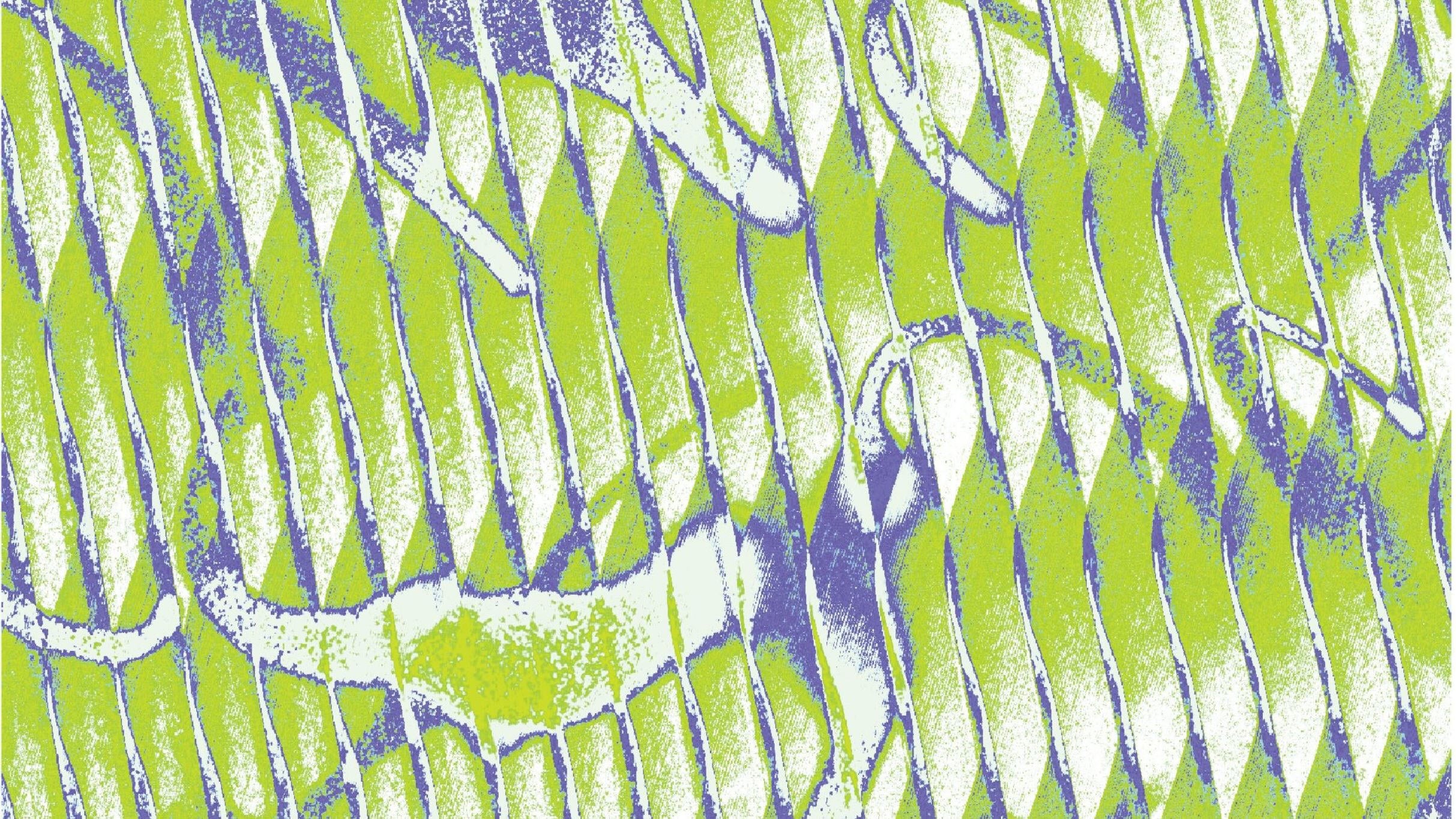 Midtsommerfest: MALUM + DJ Prins Thomas