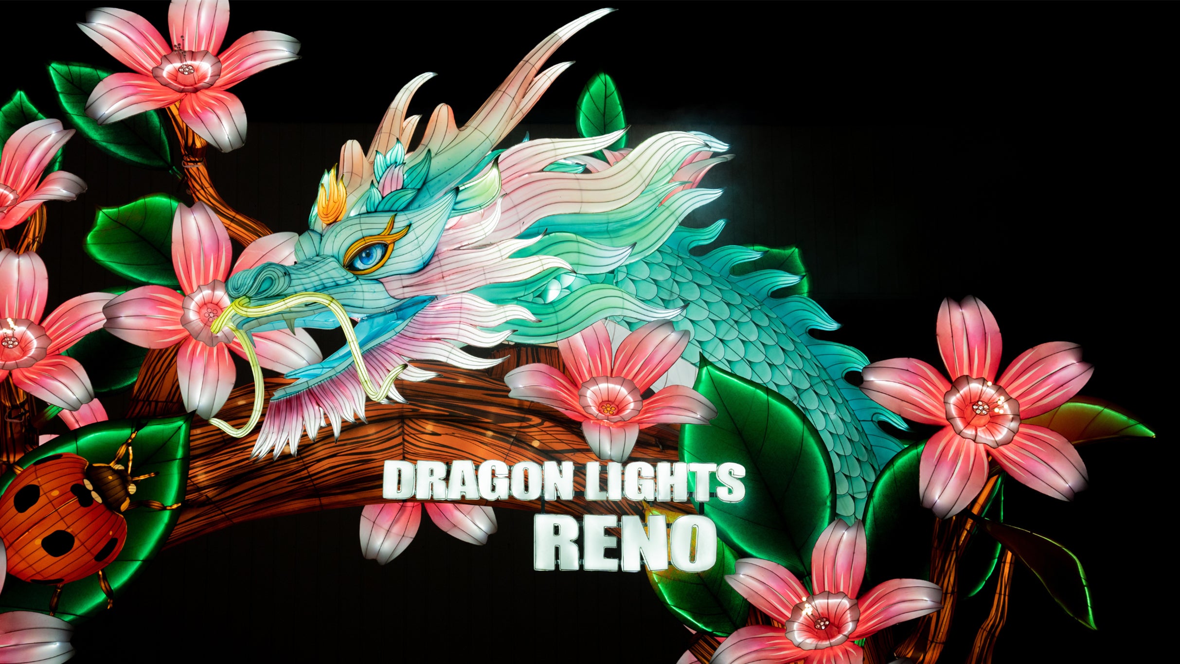 Dragon Lights Reno at Wilbur D. May Arboretum – Reno, NV