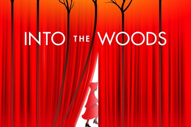 Into The Woods (Chicago)