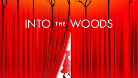 Into The Woods (Chicago)