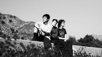live photos