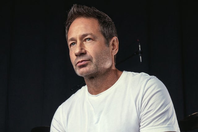 Presales to david duchovny: members use these when buying pre-sale tickets
