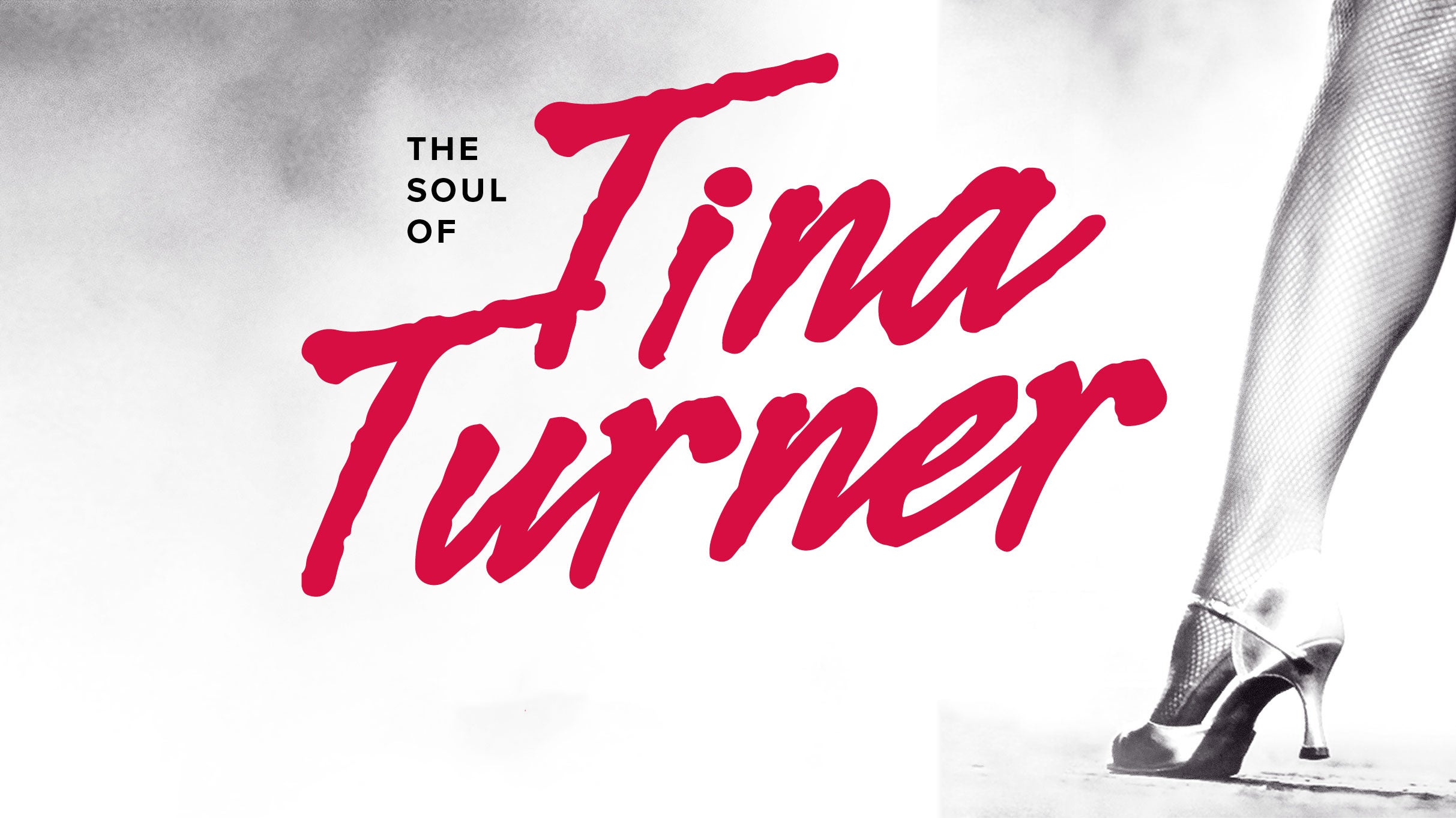 Hotels near Tina Turner Tribute Events