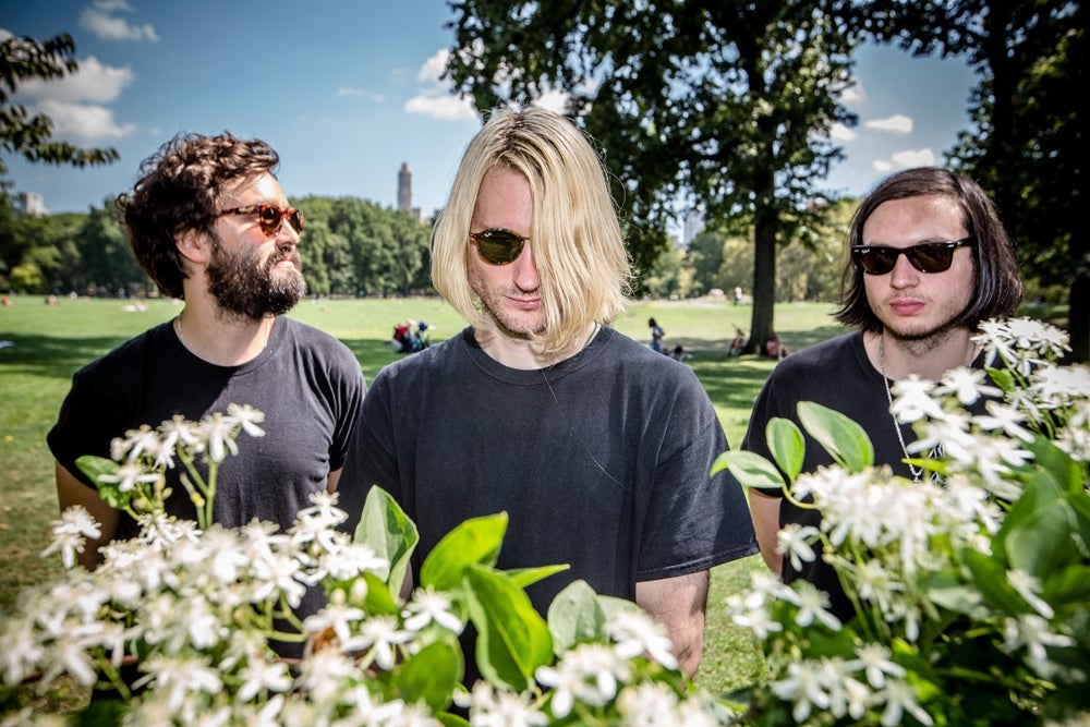 Dinosaur Pile-Up