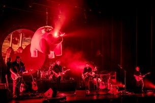 Zuiderpark Live: Pink Project