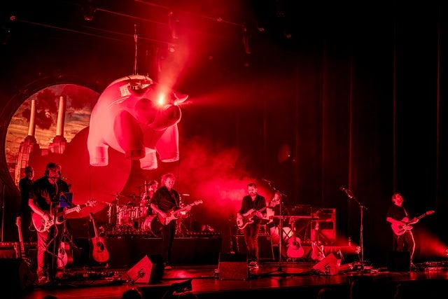 Ticket Reselling Pink Project