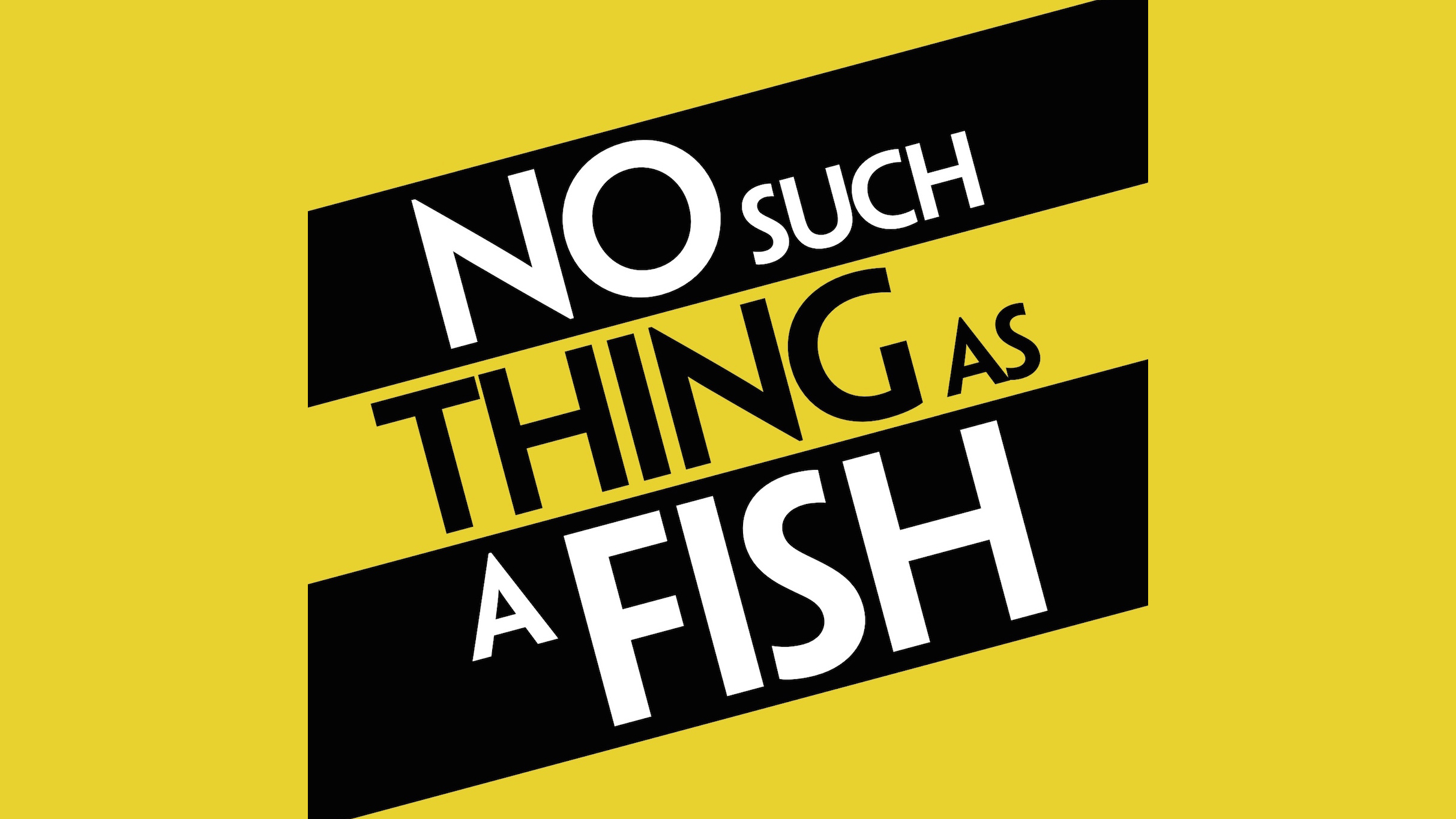 No Such Thing As A Fish