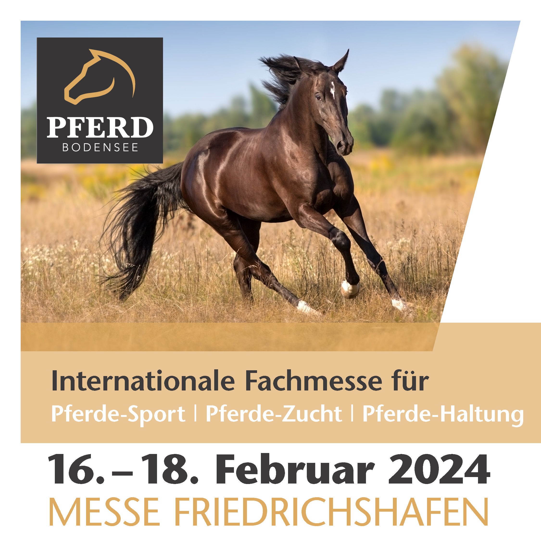 PFERD BODENSEE 2024 GalaAbend Im Takt der Pferde im Februar 2024