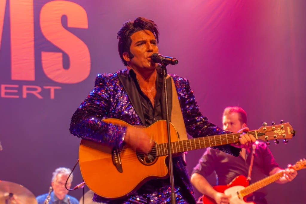 The Elvis Concert