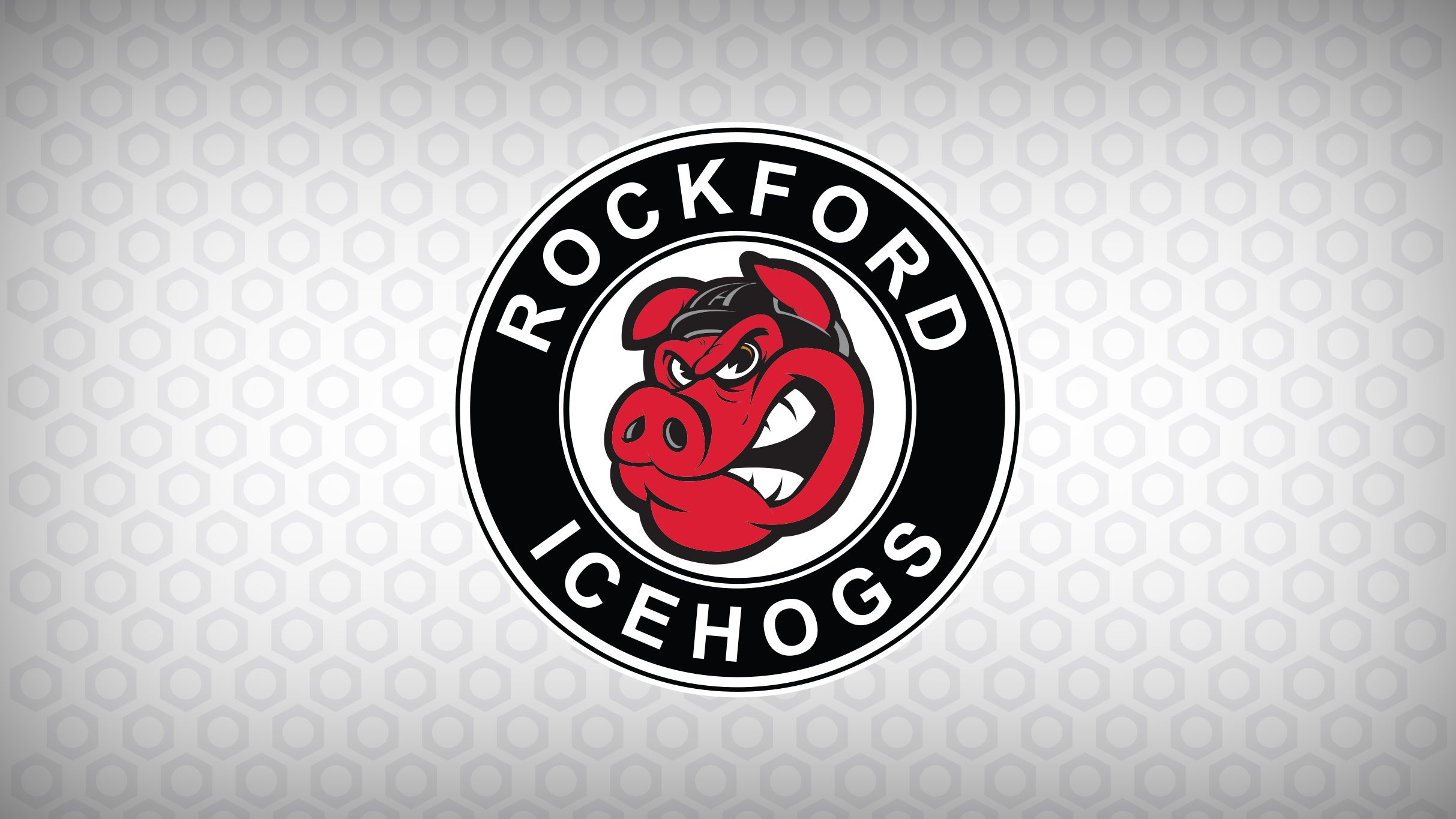 Rockford IceHogs vs. Chicago Wolves at BMO Center