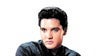 Elvis Presley In Concert - Vip Ticket Experience