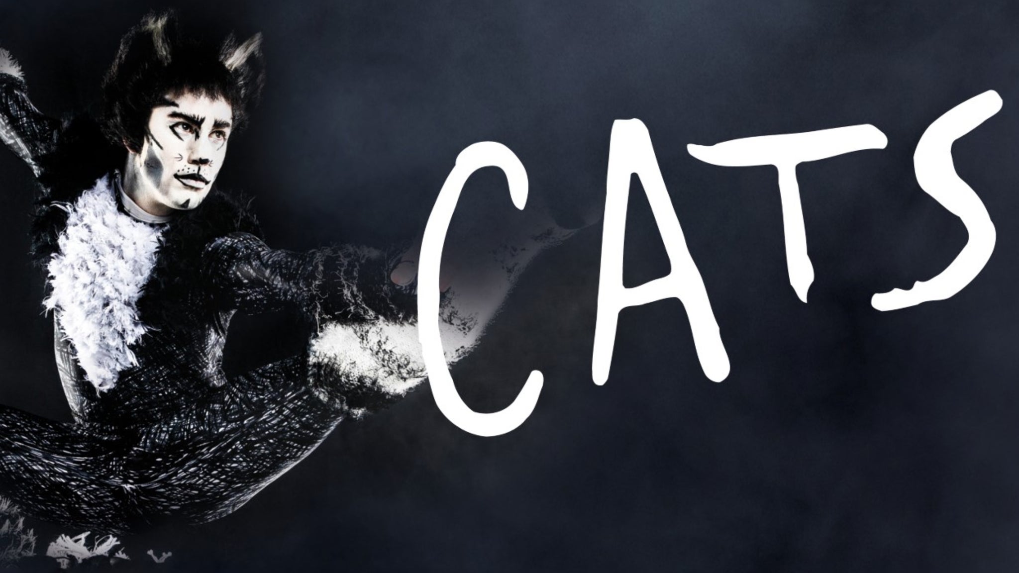 Cats in Washington promo photo for NTF presale offer code