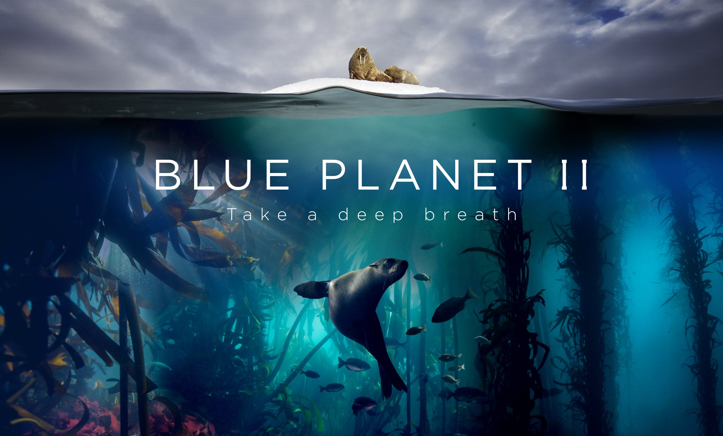 Venue Premium - Blue Planet III Live in Concert