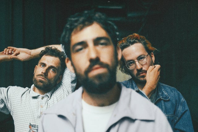 Mad Foxes (FR)
