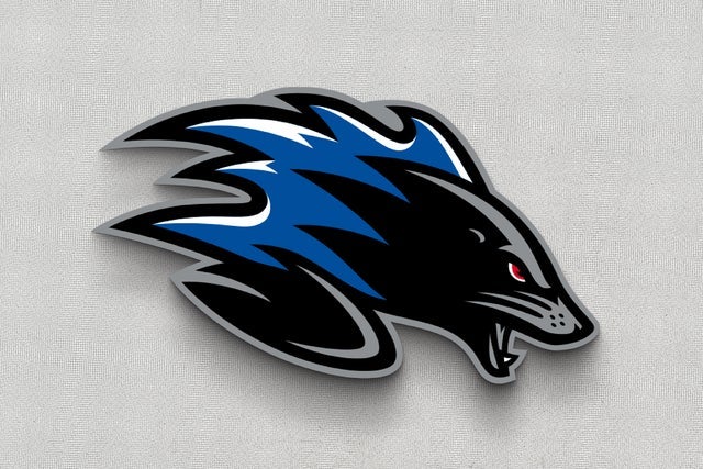 Presale codes for voltigeurs de drummondville: members use these when buying pre-sale tickets