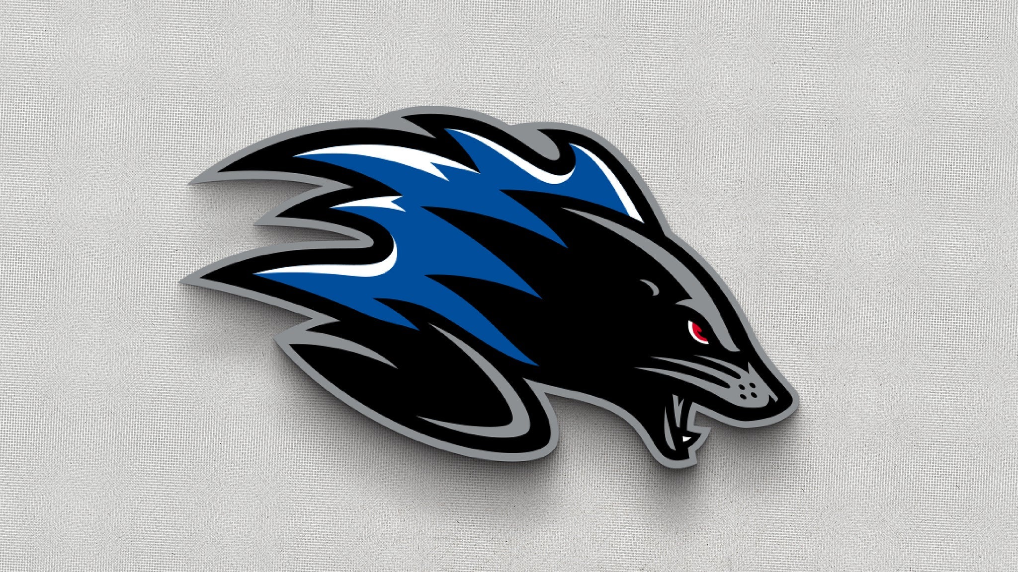 Saint John Sea Dogs vs. Cape Breton Eagles