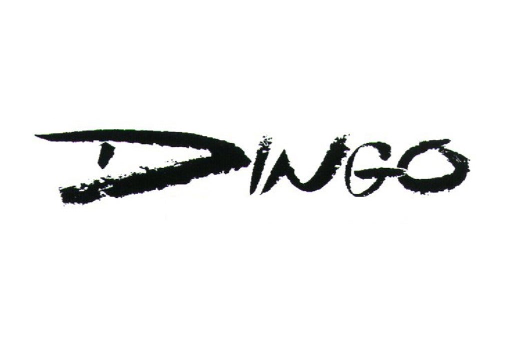 Dingo + Yölintu
