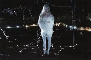 Erin LeCount - The Pareidolia Shows