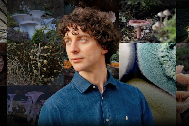 Presale codes for merlin sheldrake: members use these when buying pre-sale tickets