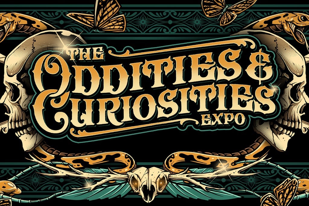 Oddities & Curiosities 2024  SUNDAY PM ENTOMOLOGY CLASS 1:30PM