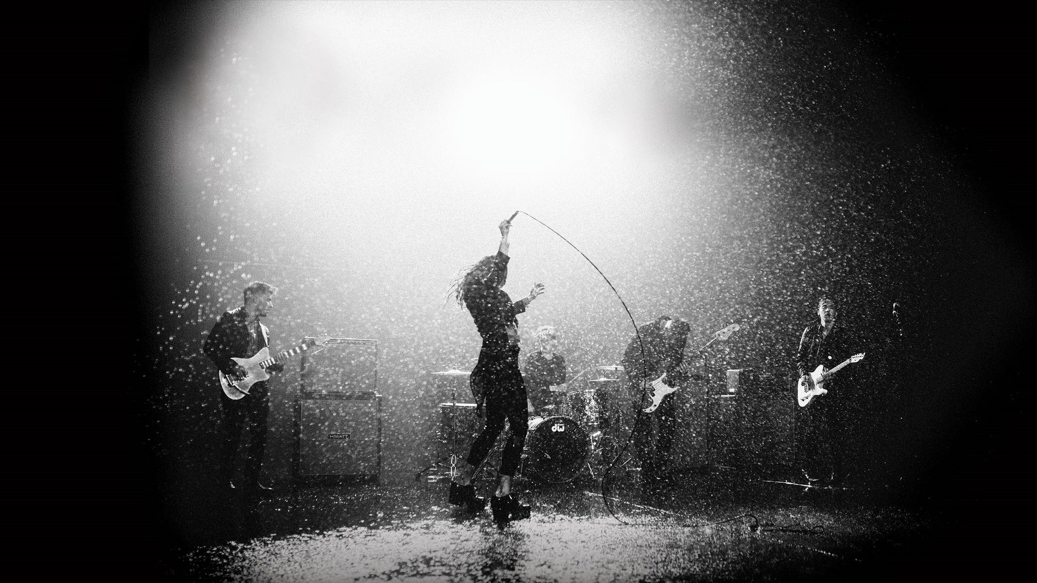 Marmozets