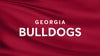 Georgia Bulldogs Volleyball